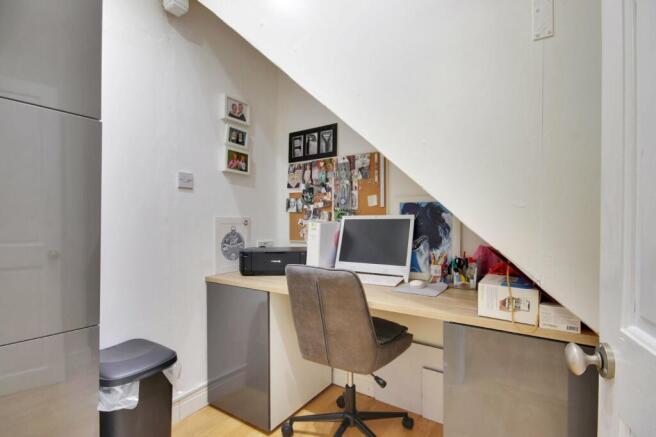 Study Area