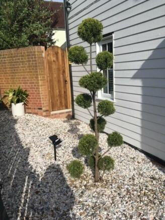 Photo 21
