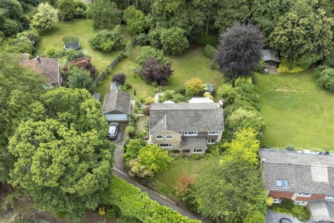 DJI_0502.jpg