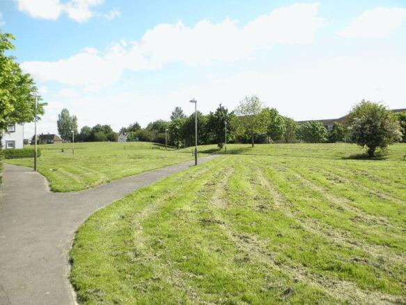 Playing Field