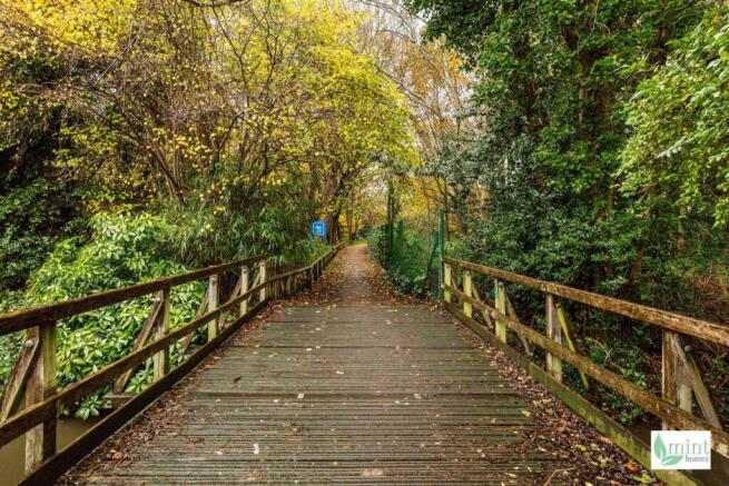 Watermark - 50 Albert Road-29.jpg