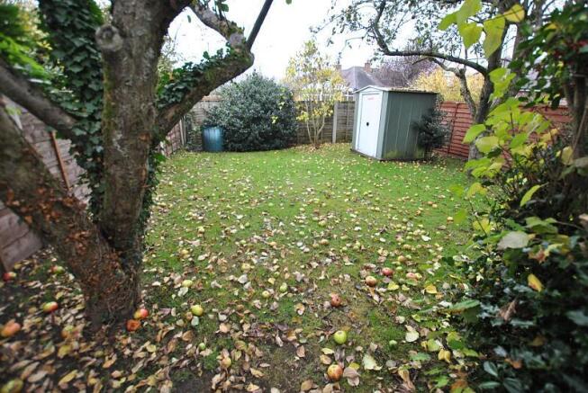 Orchard