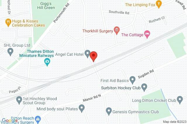 Google Maps Image