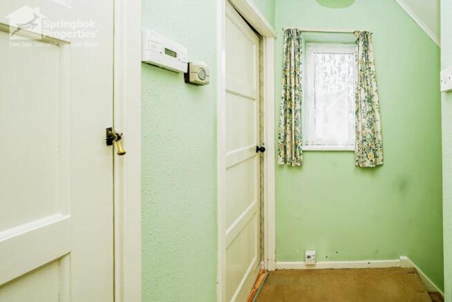 IMAGE 7