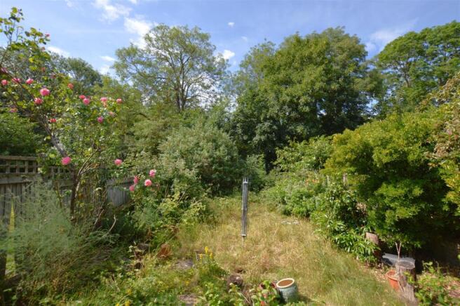 33 Lyndhurst Avenue garden.JPG