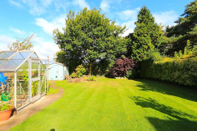 Rear Garden (Summer)