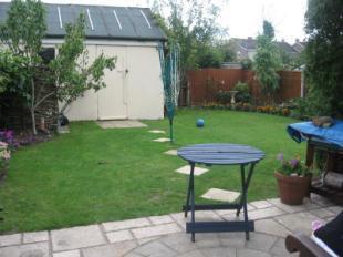 Patio and Garden
