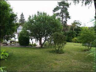 Garden 1