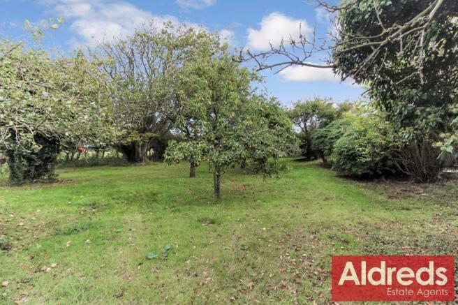 orchard