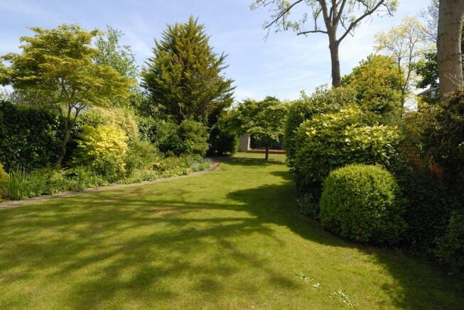 Rear garden.