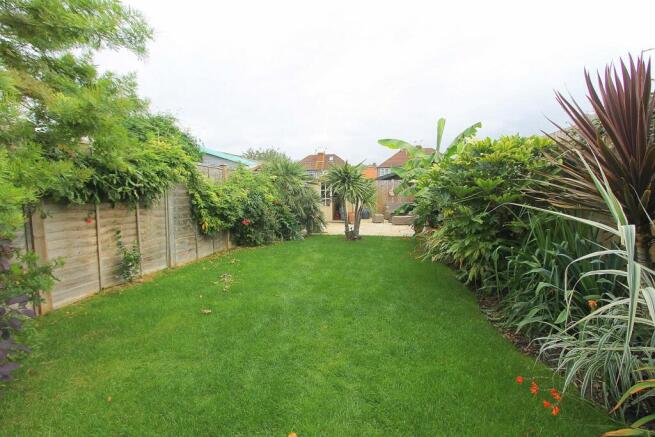 garden c.JPG