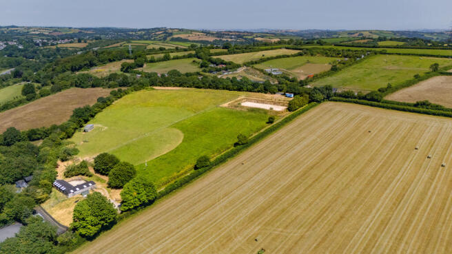 WEB-21