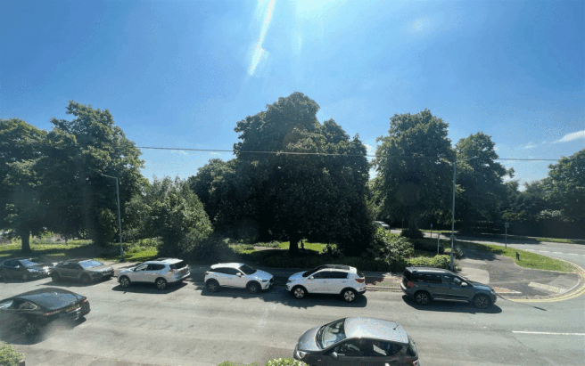 1.gif