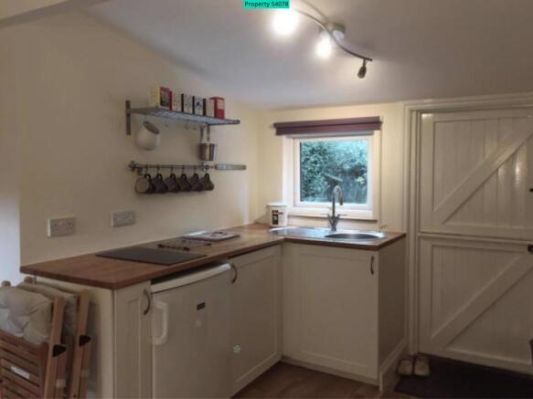 Kitchen area with hob and fridge