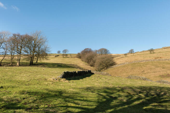 Local area