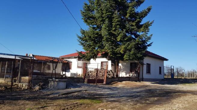 Exterior view of a white rural house with a red roof and a large evergreen tree in front, set against a clear blue sky.