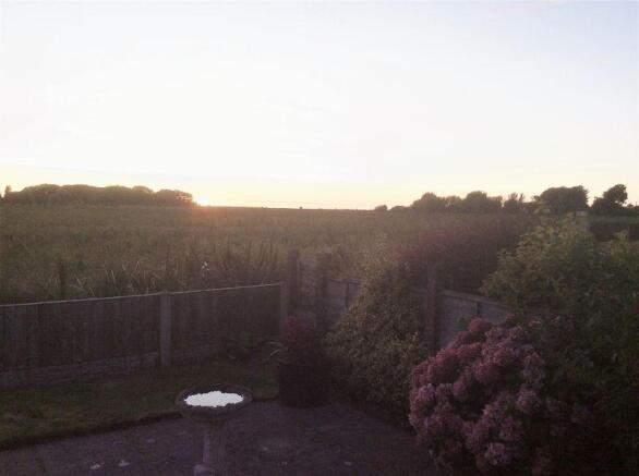 Dusk View