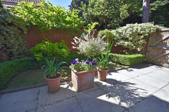 Photo 15