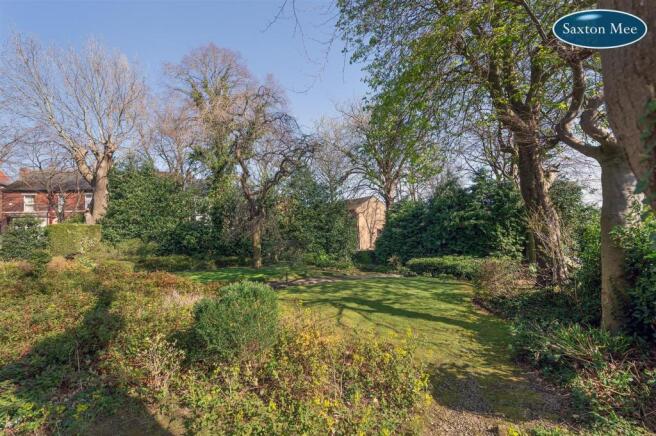 garden 5290.jpg