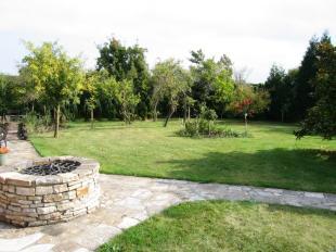 Garden view 2