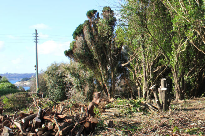 GARDEN 1