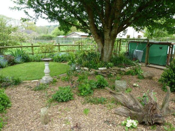 Wooded Garden Area