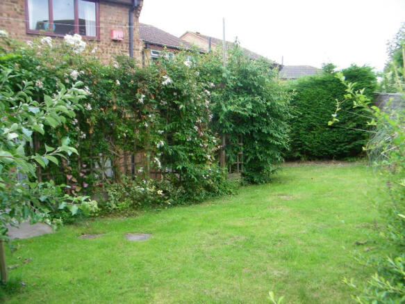 Picture 11