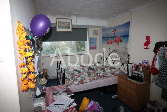 3 bed House to rent Image 5