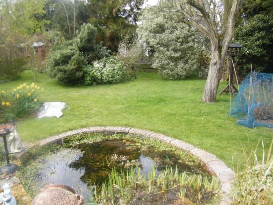 Pond