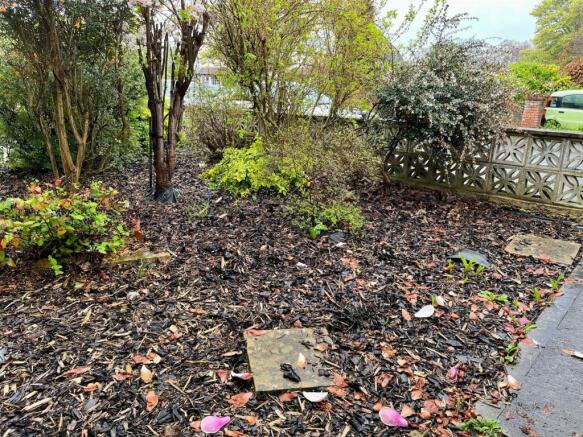 Front Garden.jpg