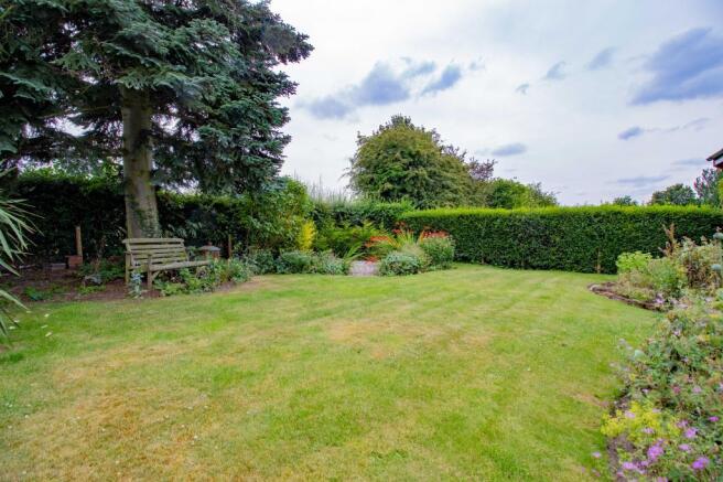 Garden at Back