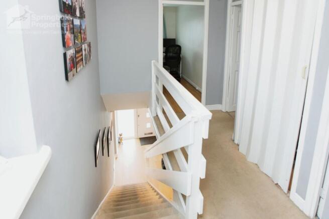IMAGE 7