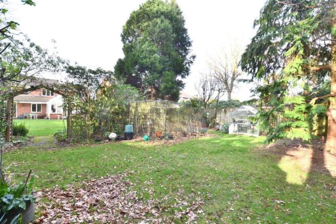 Garden 5.JPG
