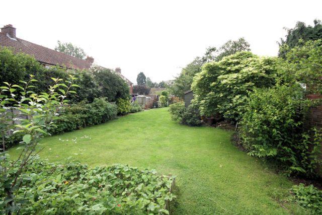 Garden view 4