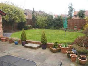 garden