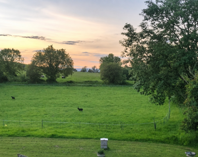 Discreet Listing, Baltonsborough