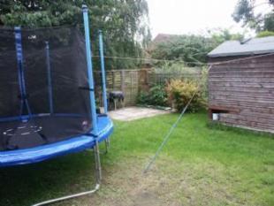 garden 2