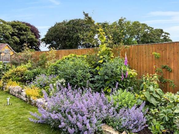 Garden.jpg