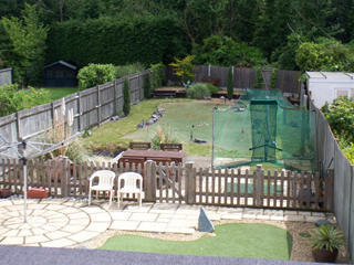 Photo 9