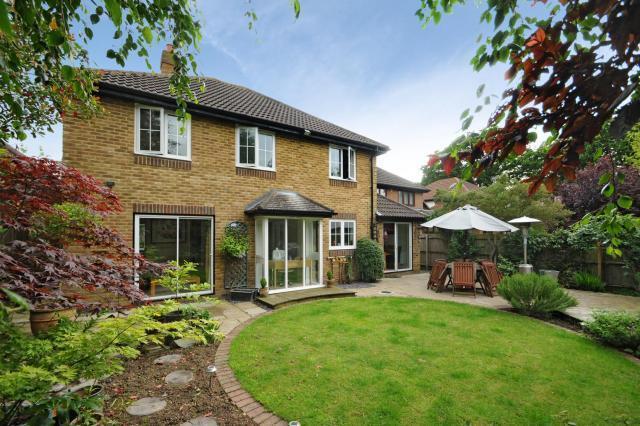 Rear Garden back to