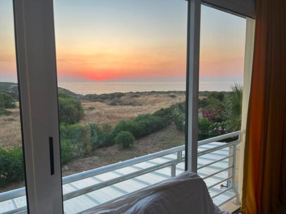 Evening view