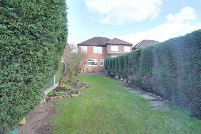 Garden at Back