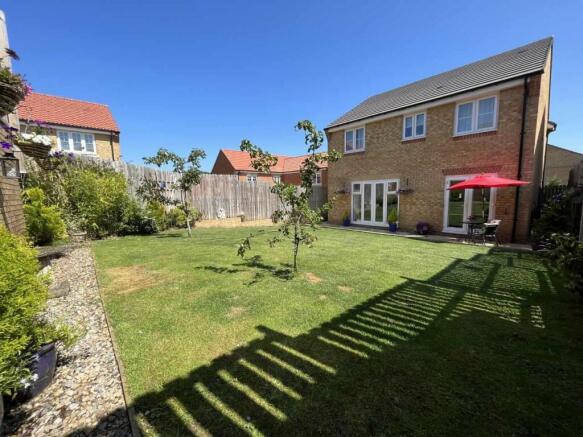 Back Garden