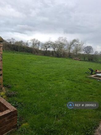 Back Garden