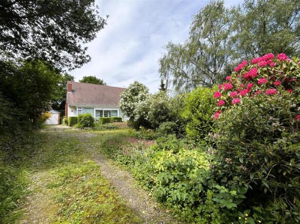 new distant front.JPG