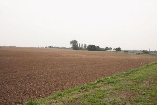 Photo23