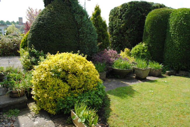 Photo 11