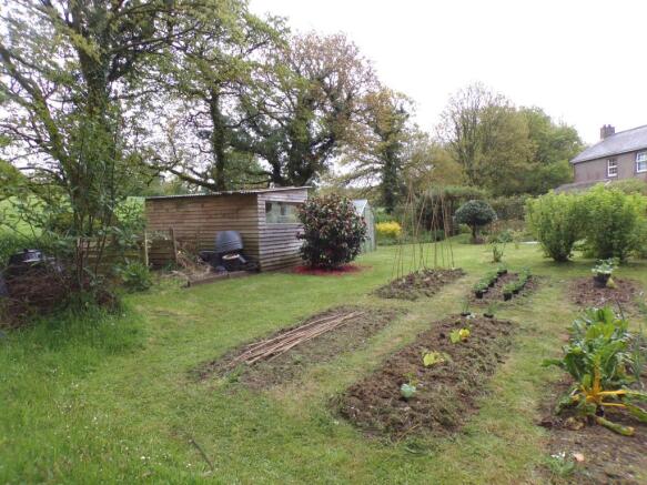 Vegetable garden