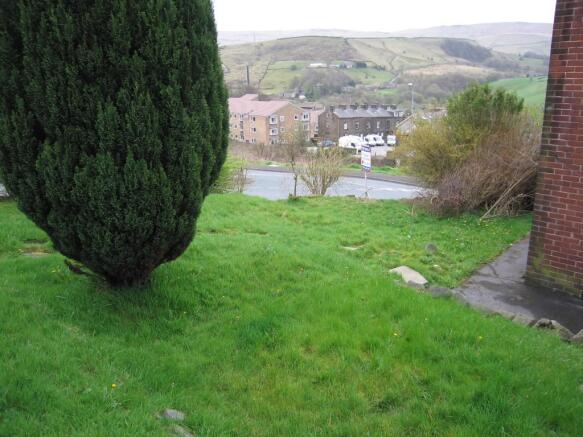 view from garden