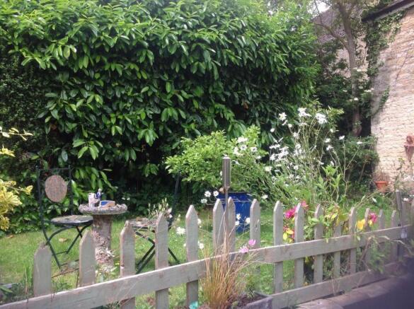 garden 4.jpg